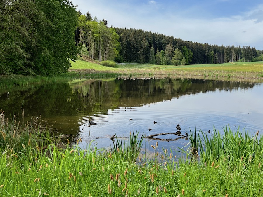 streifzüge_weiherpfade
