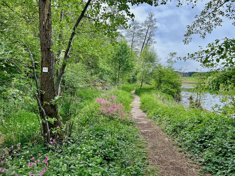 treifzüge_weiherpfade