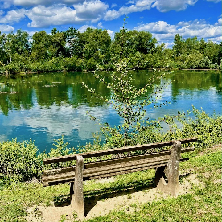 10_donauwald_wanderweg
