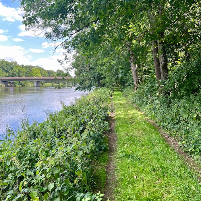 10_donauwald_wanderweg_donaubrücke offingen