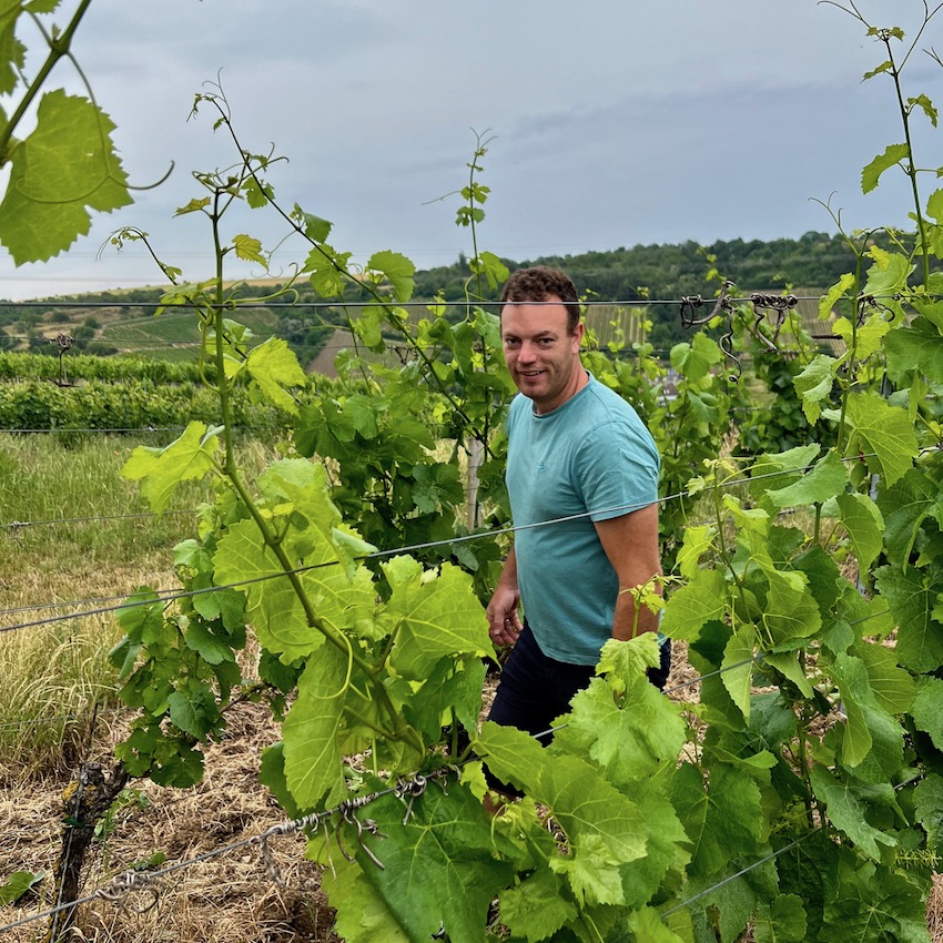 10_randersacker_weingut schenk