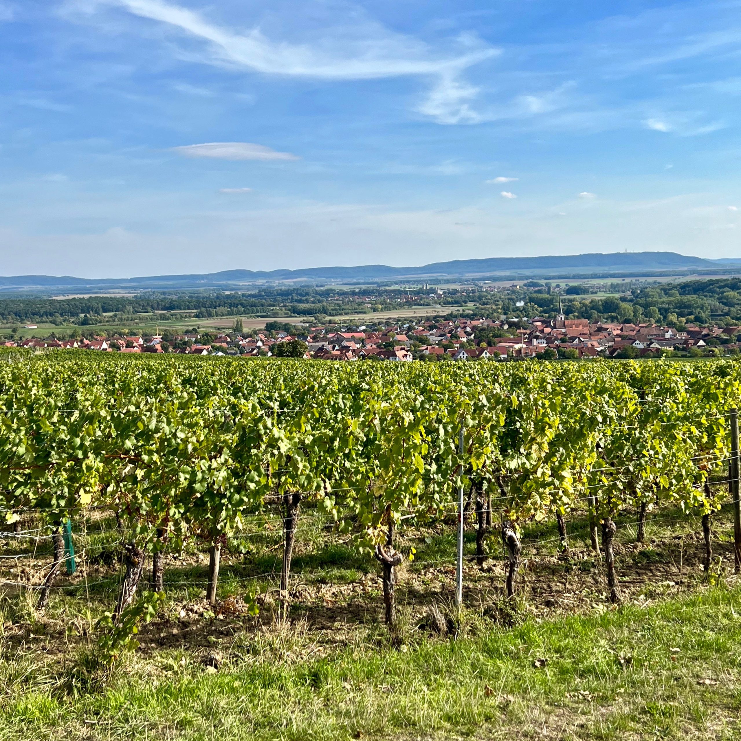 terroir f_weininsel