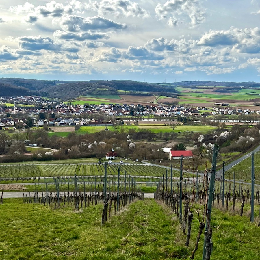 10_weinlage_himmelstadter kelter