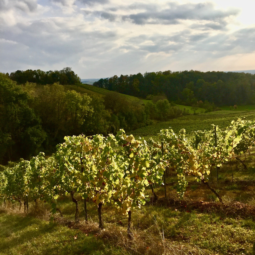 bauernregeln_oktober