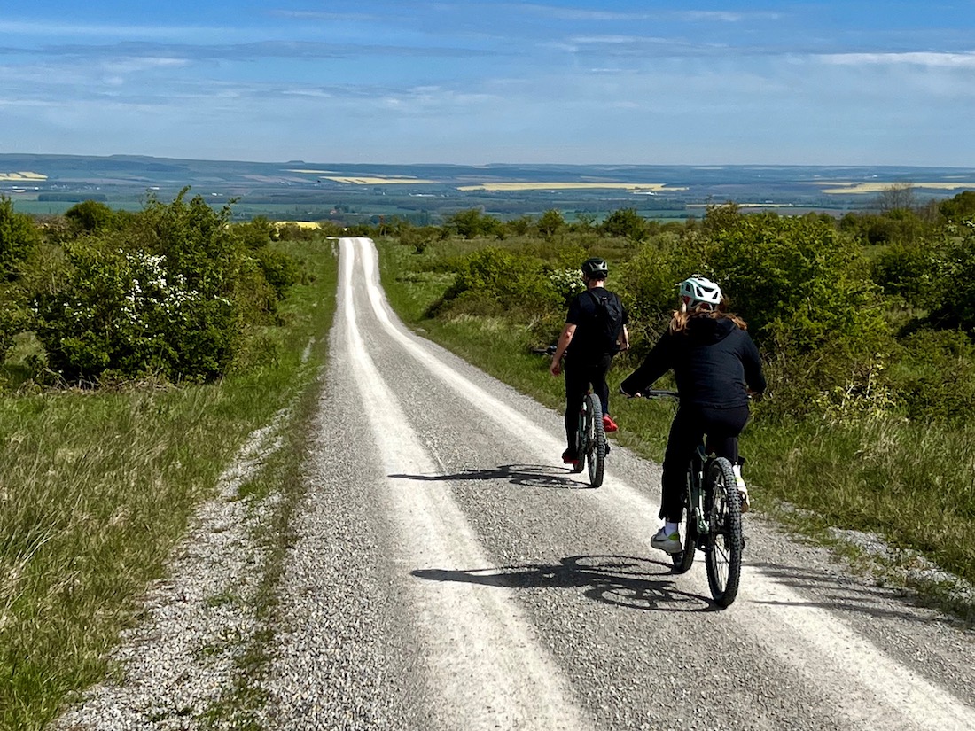 11_Boggerwandertag_Betteleichenweg