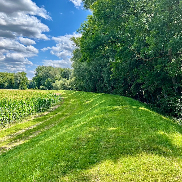 11_donauwald_wanderweg