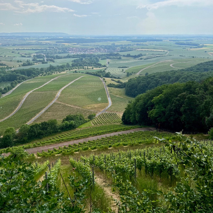 11_handthal_terroir f