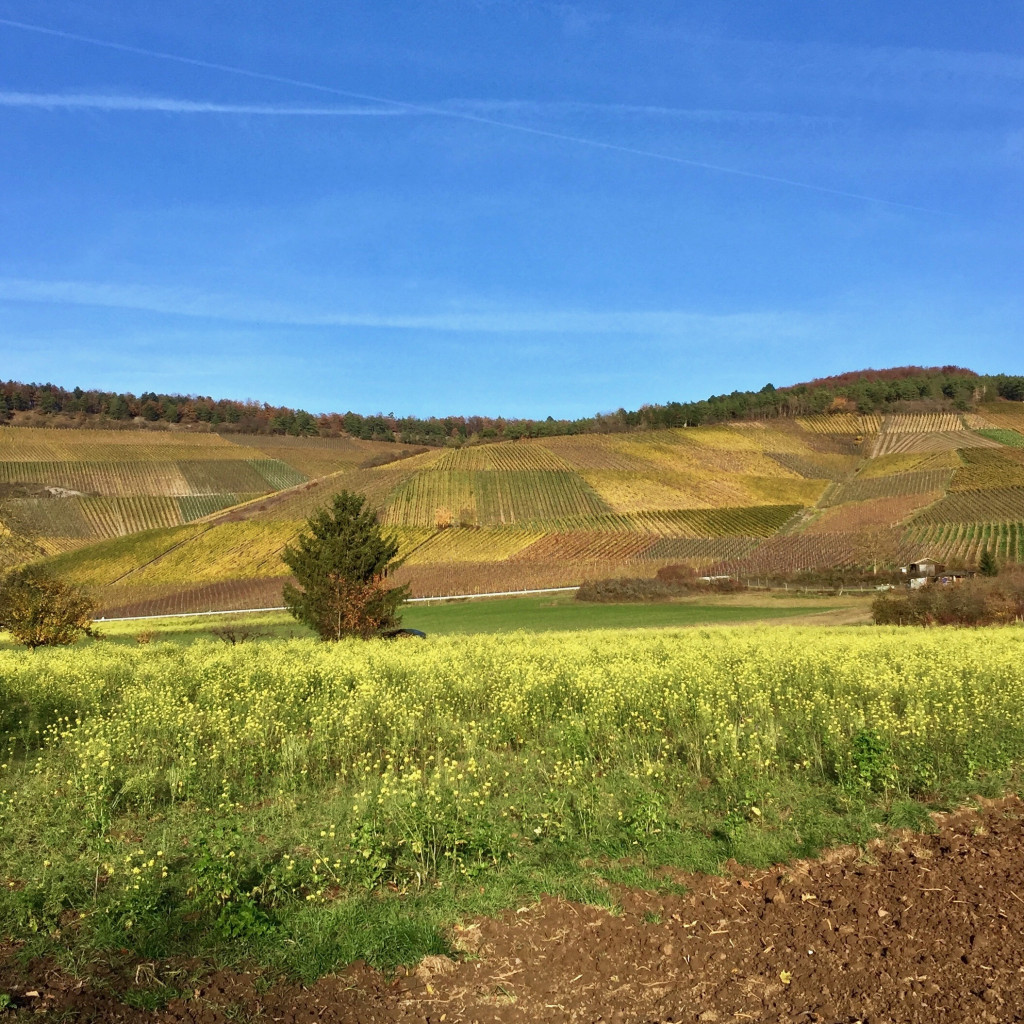 bauernregeln_november
