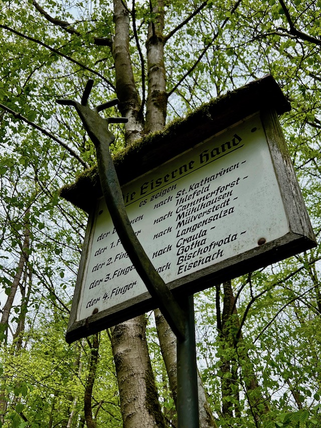 12_Boggerwandertag_Betteleichenweg