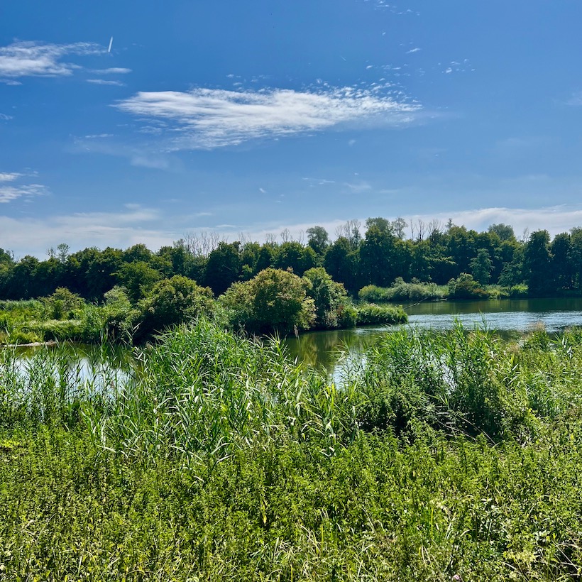 12_donauwald_wanderweg