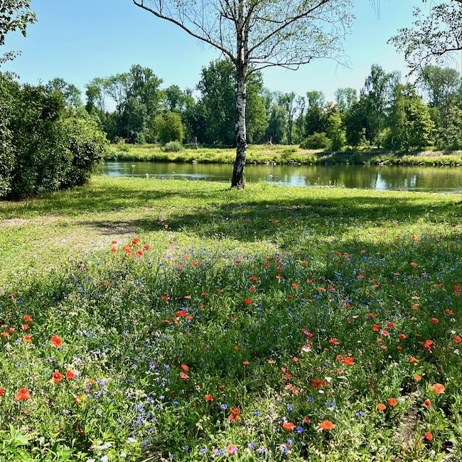 12_donauwald_wanderweg