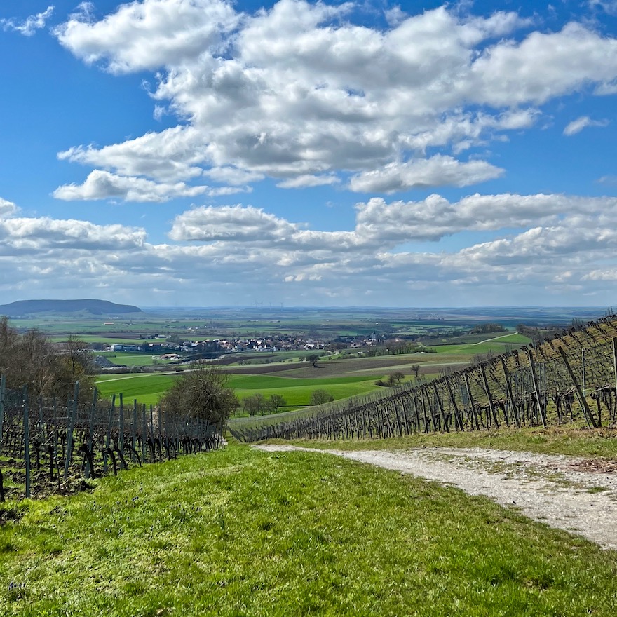 12_markt einersheim_weinberge