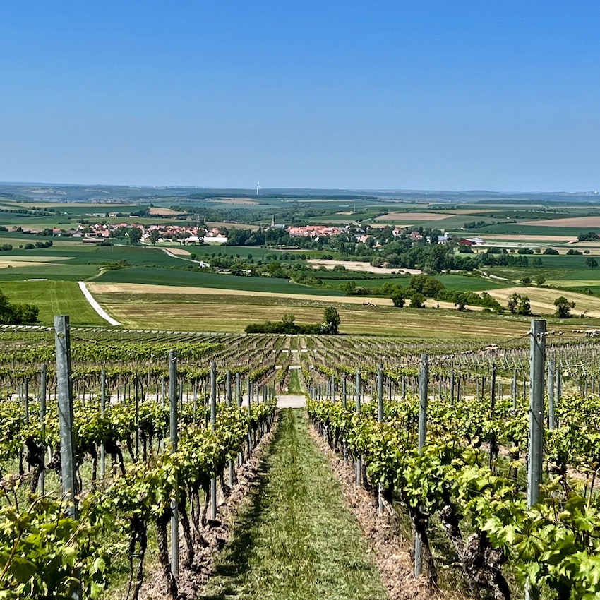 12_traumrunde_weinberge
