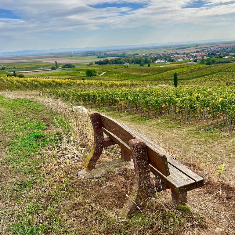 12_westhofen_wingertsheisjer wanderweg