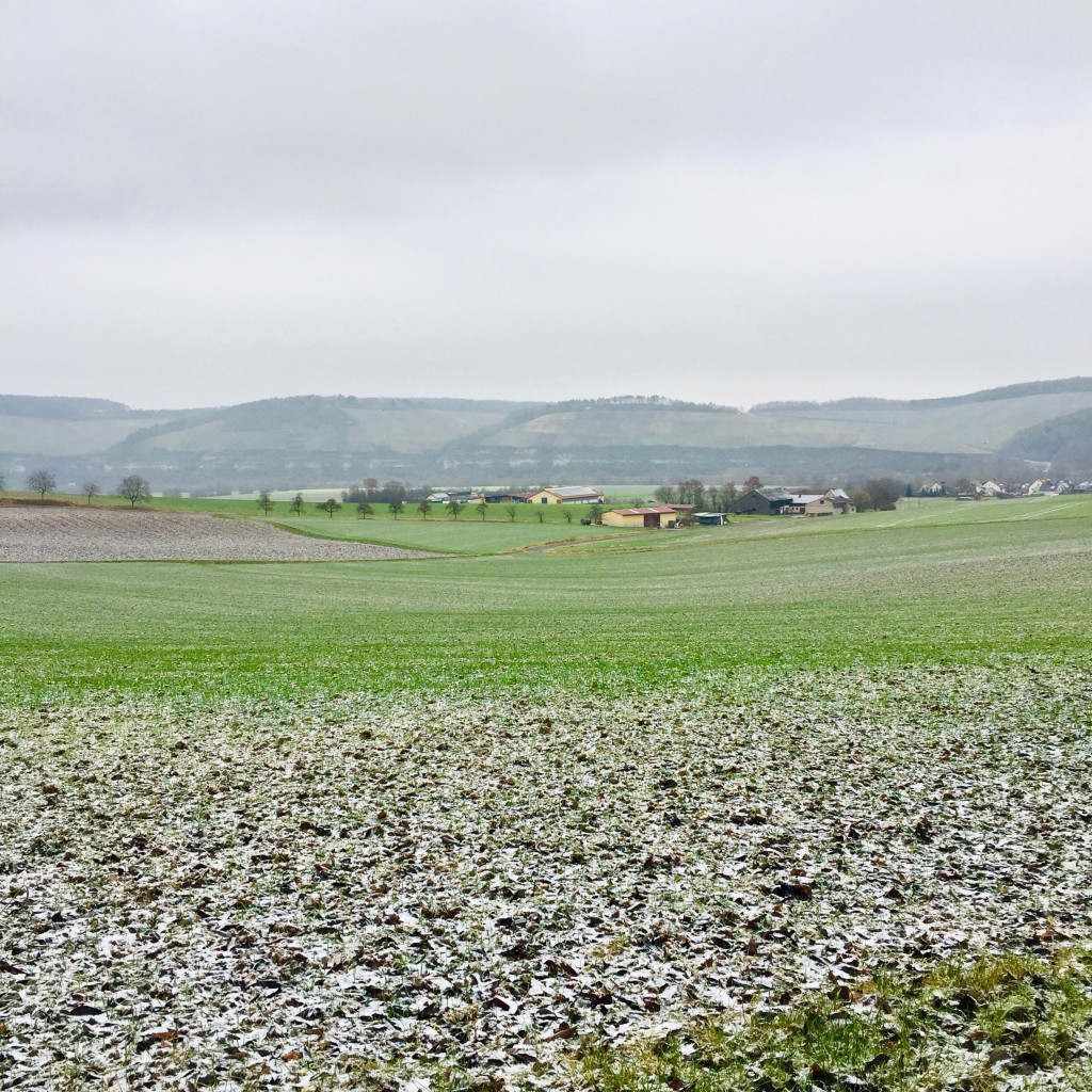 bauernregeln_dezember