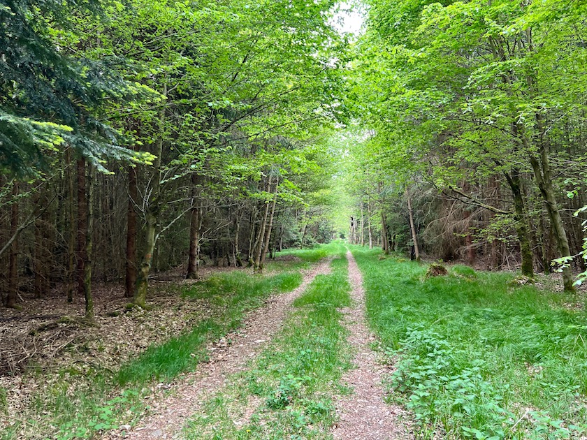 streifzüge_weihergehauweg