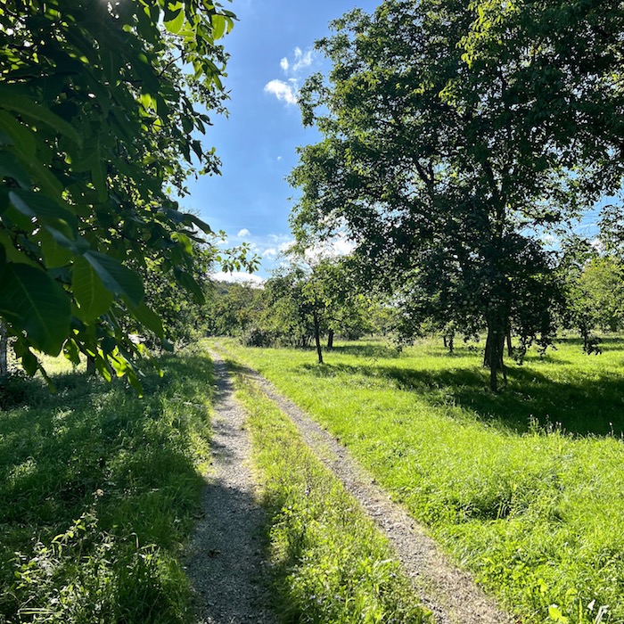 13__karlstadt_naturschutzgebiet