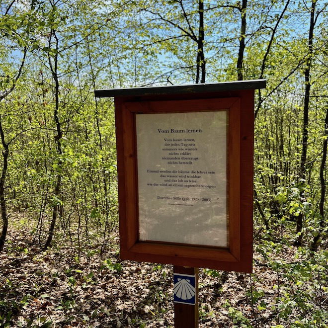 13_frankens saalestück_poetenweg