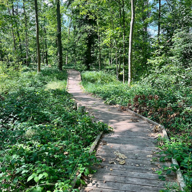 13_höchstädt_bohlenweg