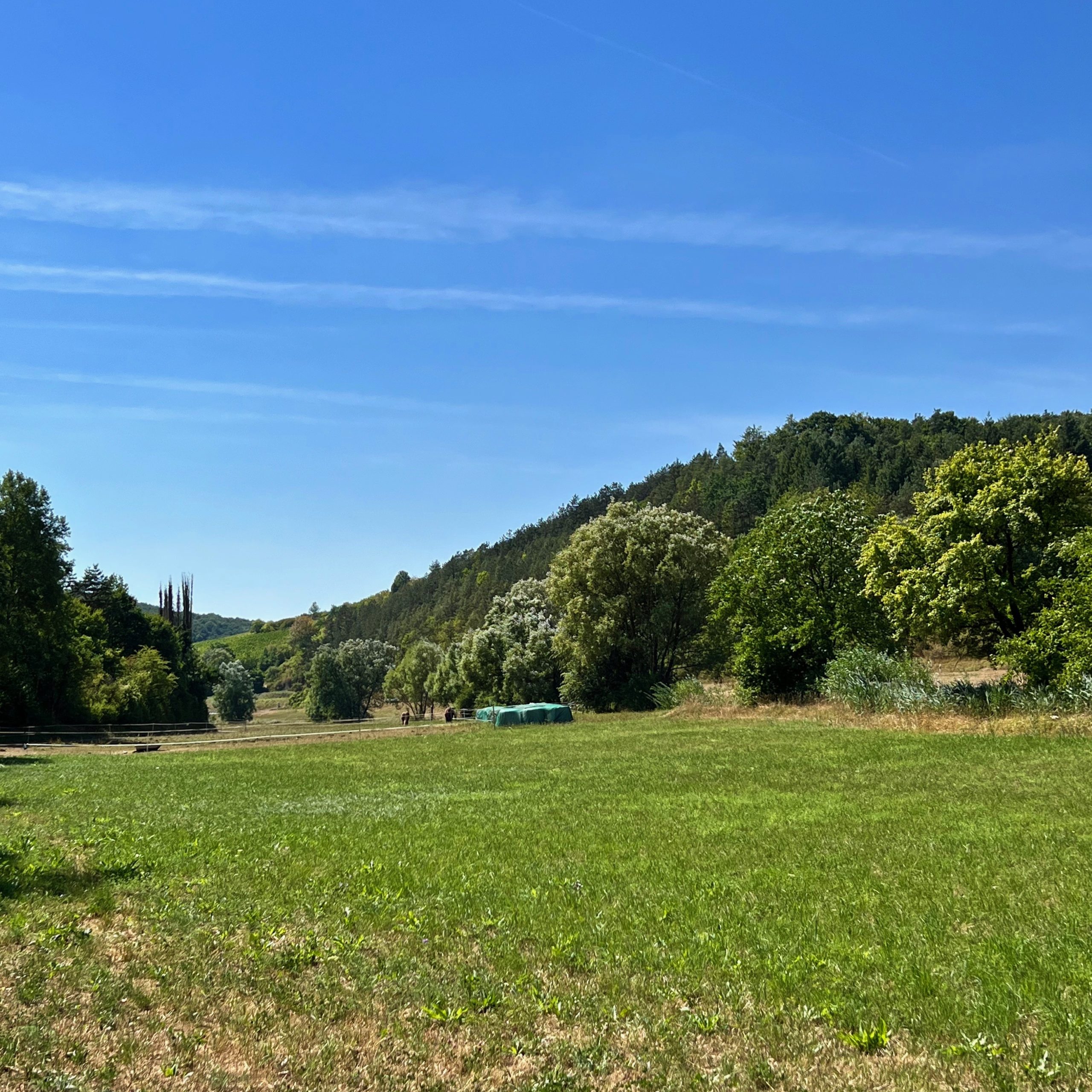 retzbachtal