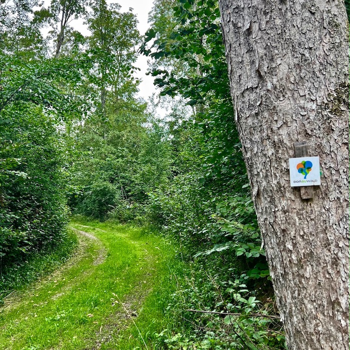 14_donauwald_wanderweg
