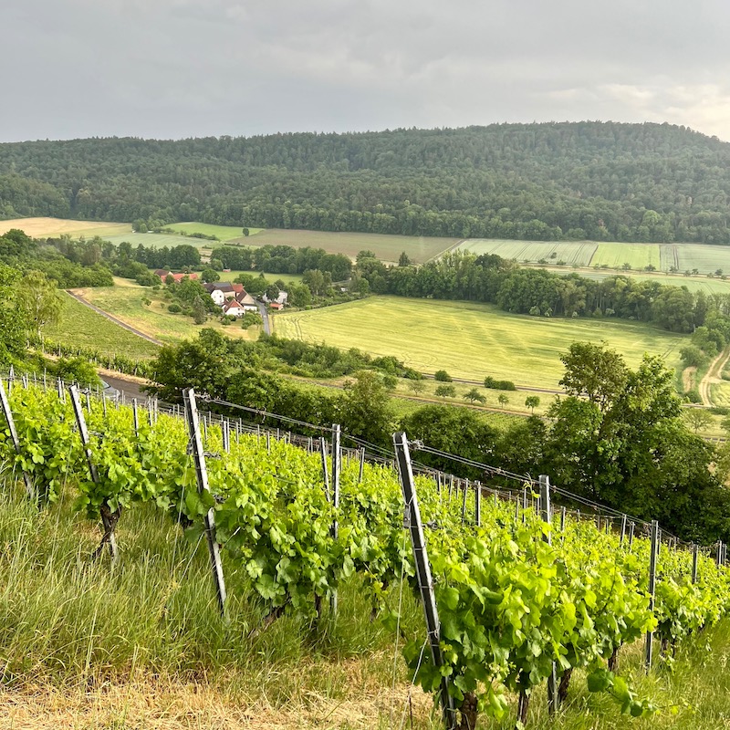 14_handthal_terroir f
