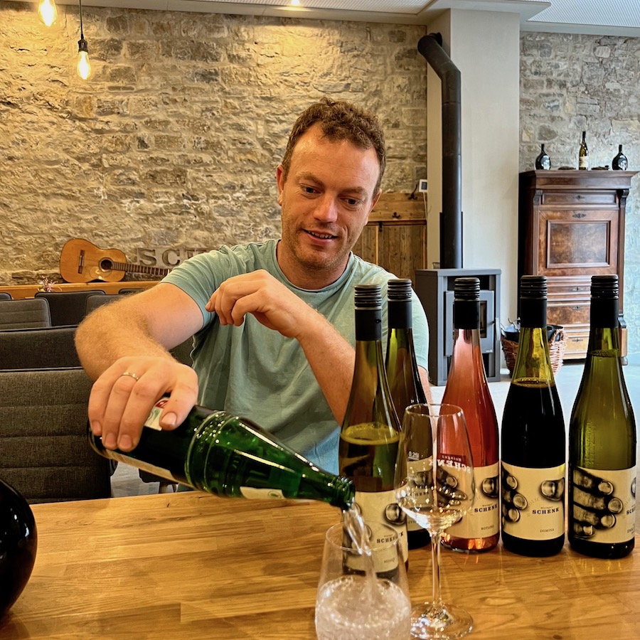 14_randersacker_weingut schenk