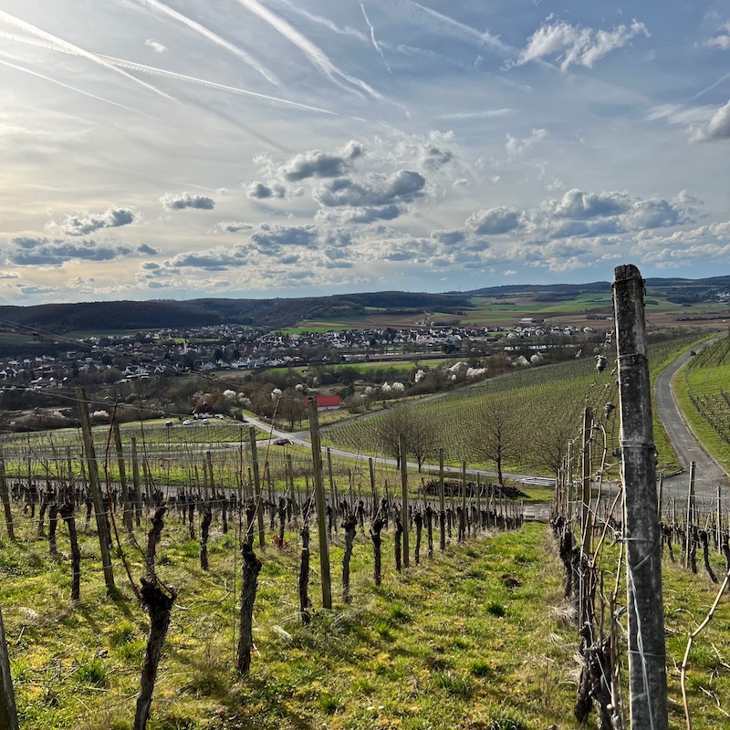 14_weinlage_himmelstadter kelter