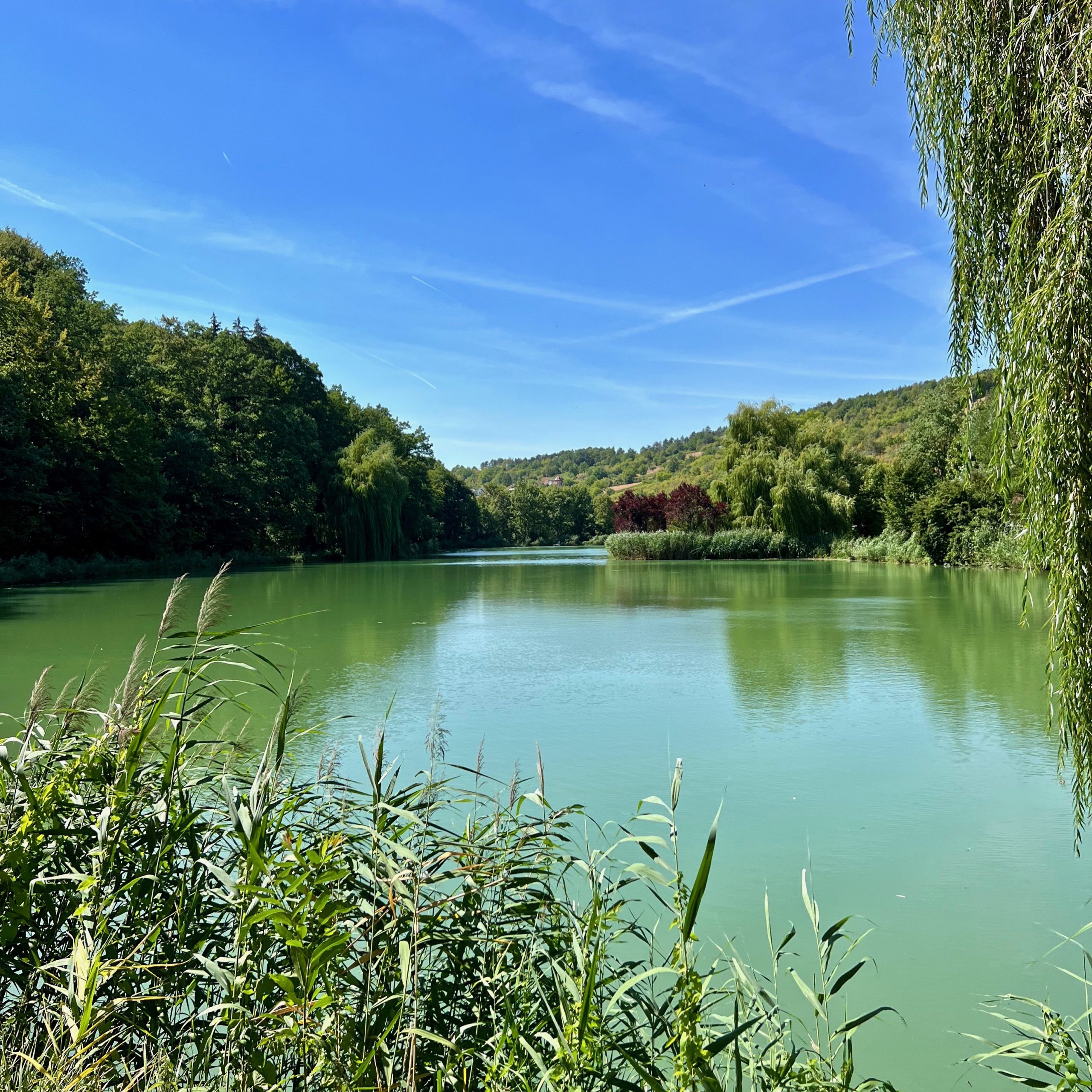 fischteich