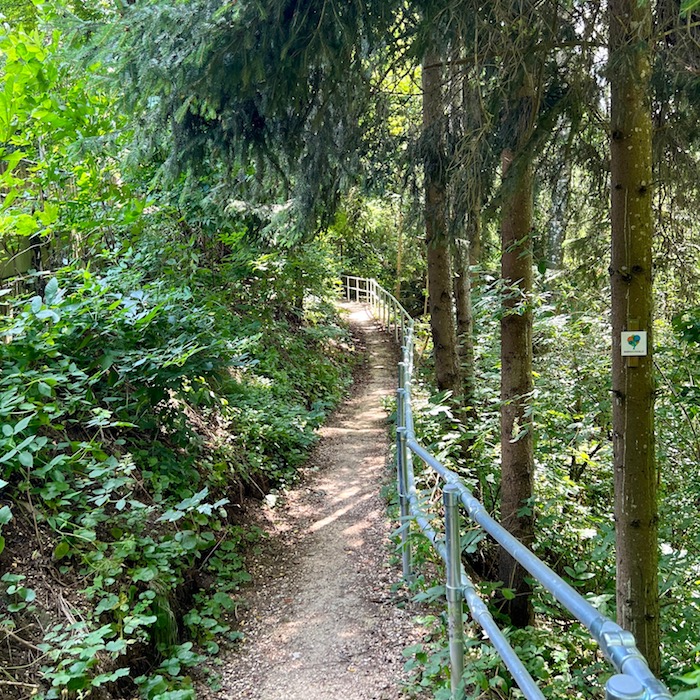 15_donauwald_waldweg