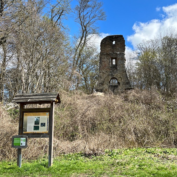 15_markt einersheim_ruine speckfeld