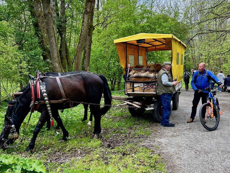 16_Boggerwandertag_Betteleichenweg