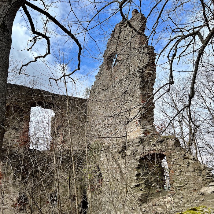16_donau_ries_burgruine hochhaus