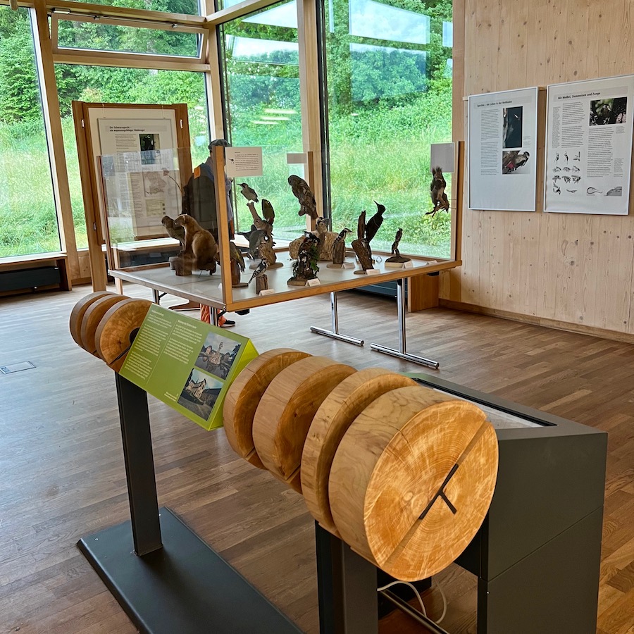 16_handthal_steigerwald zentrum