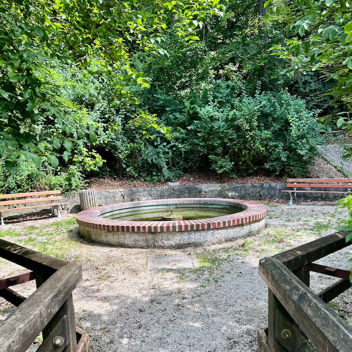 16_lauingen_carlsquelle