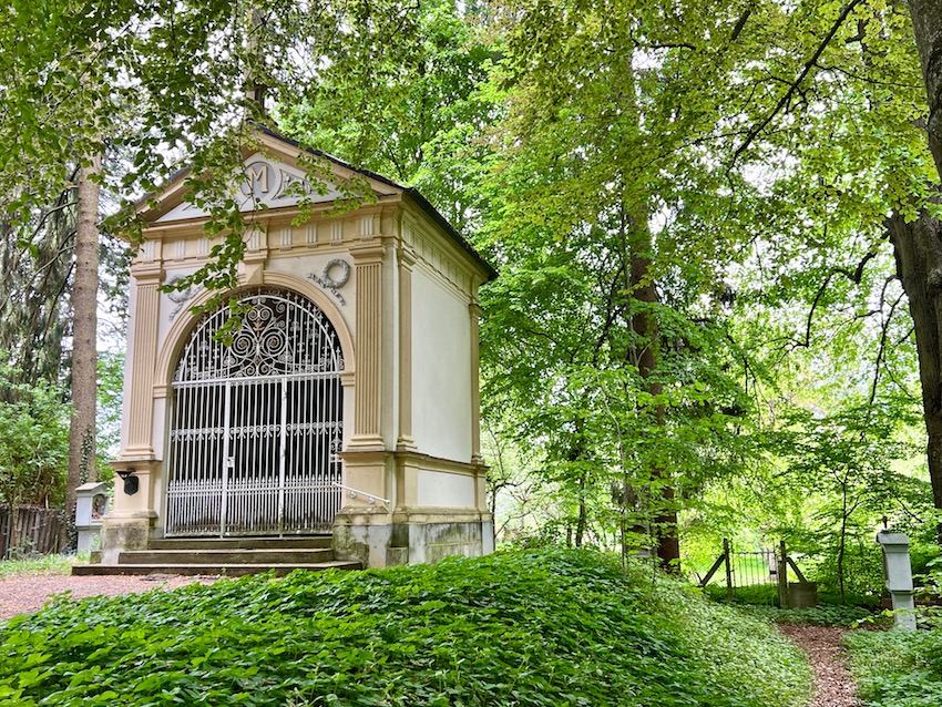 streifzüge_rothalblick