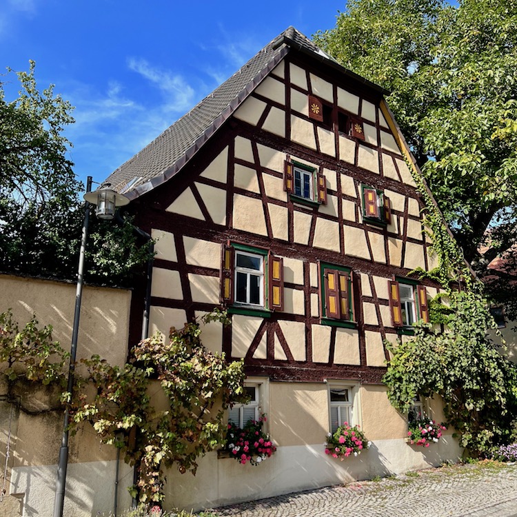 17_binsfeld