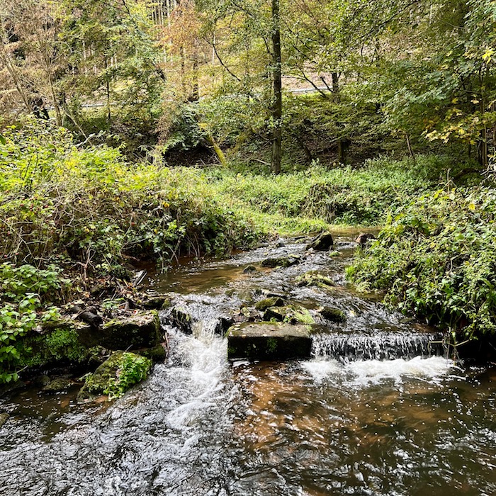 17_heimbuchenthal_elsava