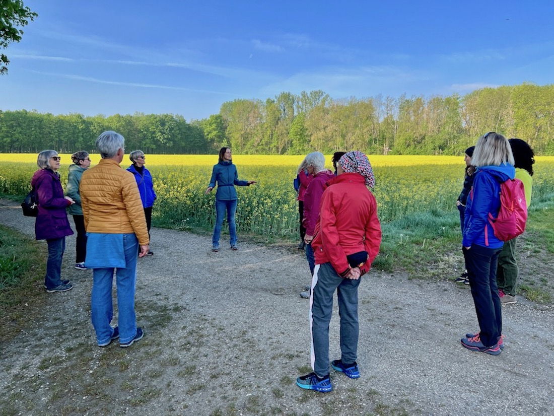 donautal_wandertrio