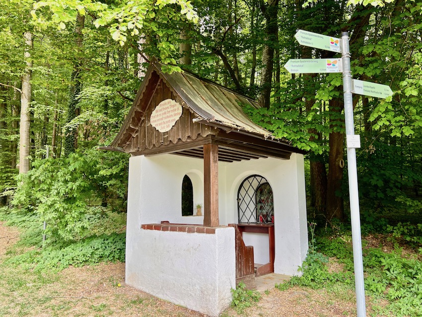 streifzüge_rothalblick