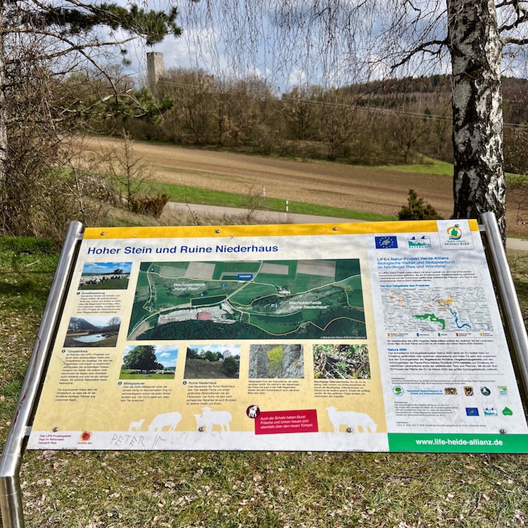 18_burgruine niederhaus_wacholderheide