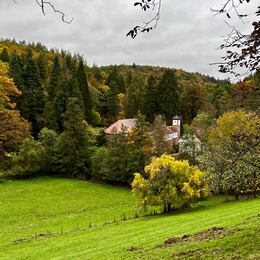 18_heimbuchenthal_höllhammer