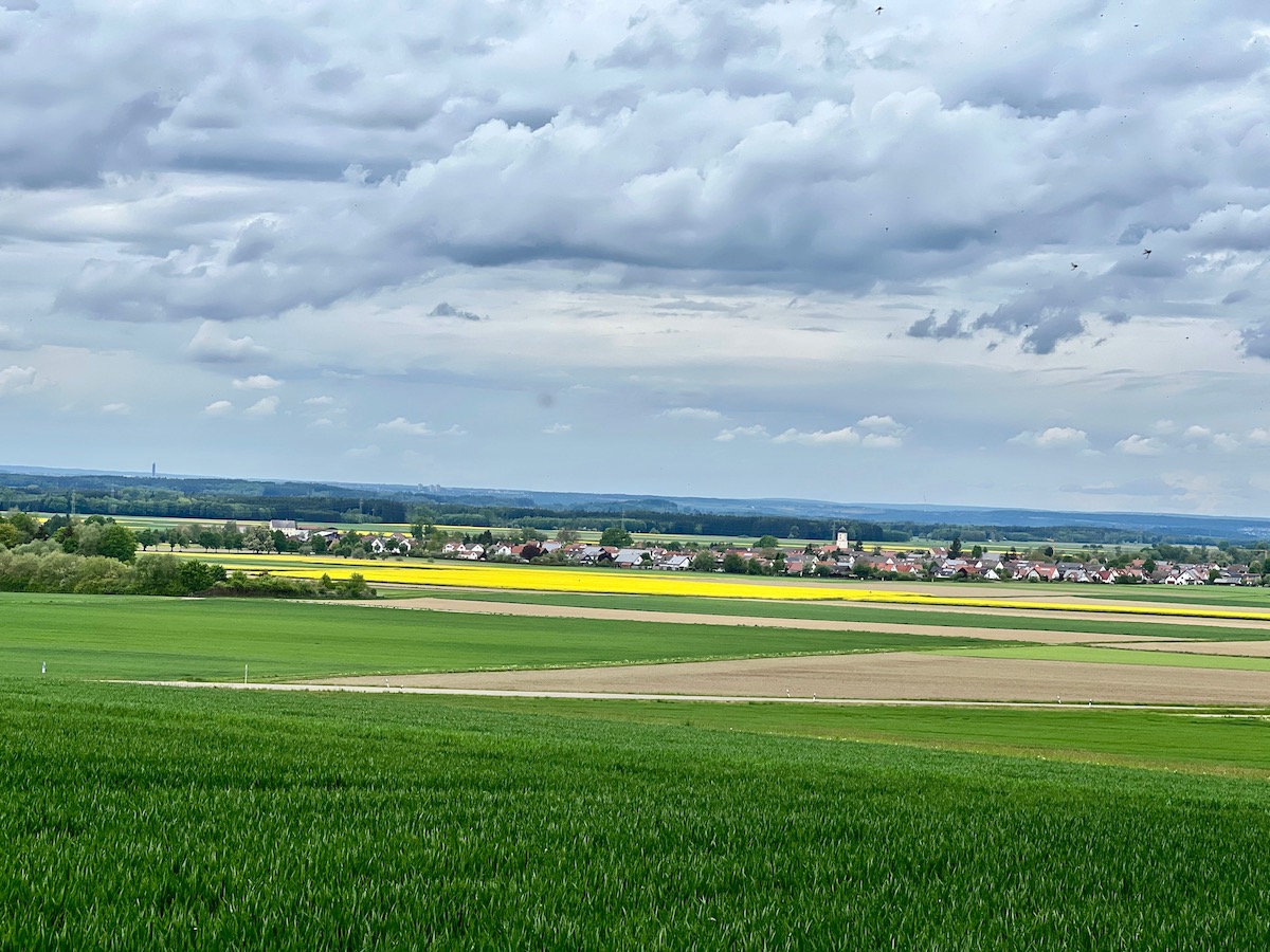 streifzüge_rothalblick