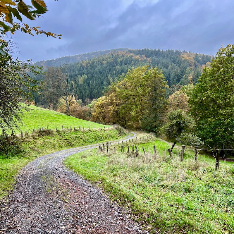 19_heimbuchenthal_höllhammer