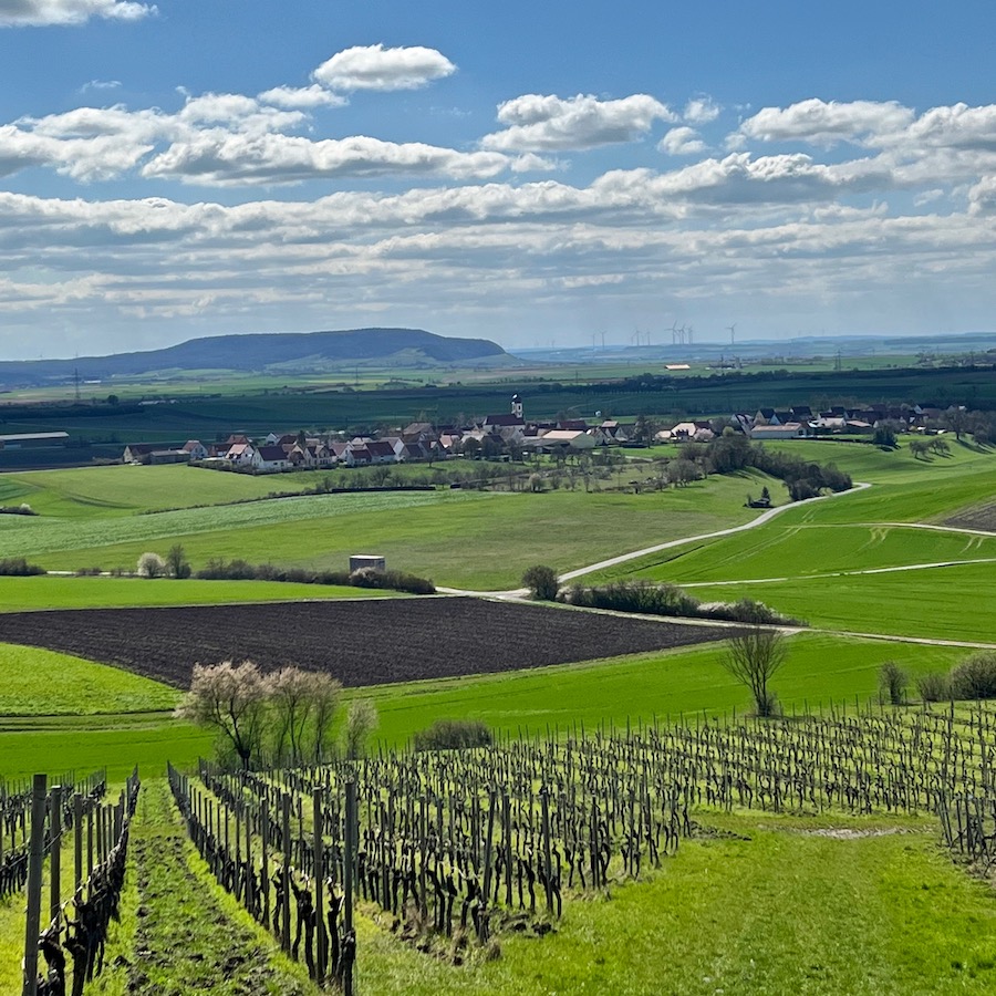 19_markt einersheim_hellmitzheimer bucht