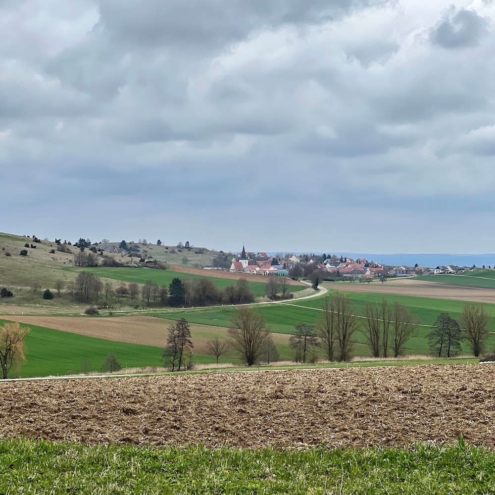 1_burgruine niederhaus_wacholderheide