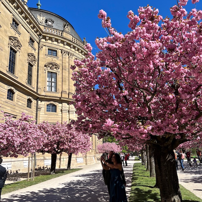 1_residenz_würzburg_frühling