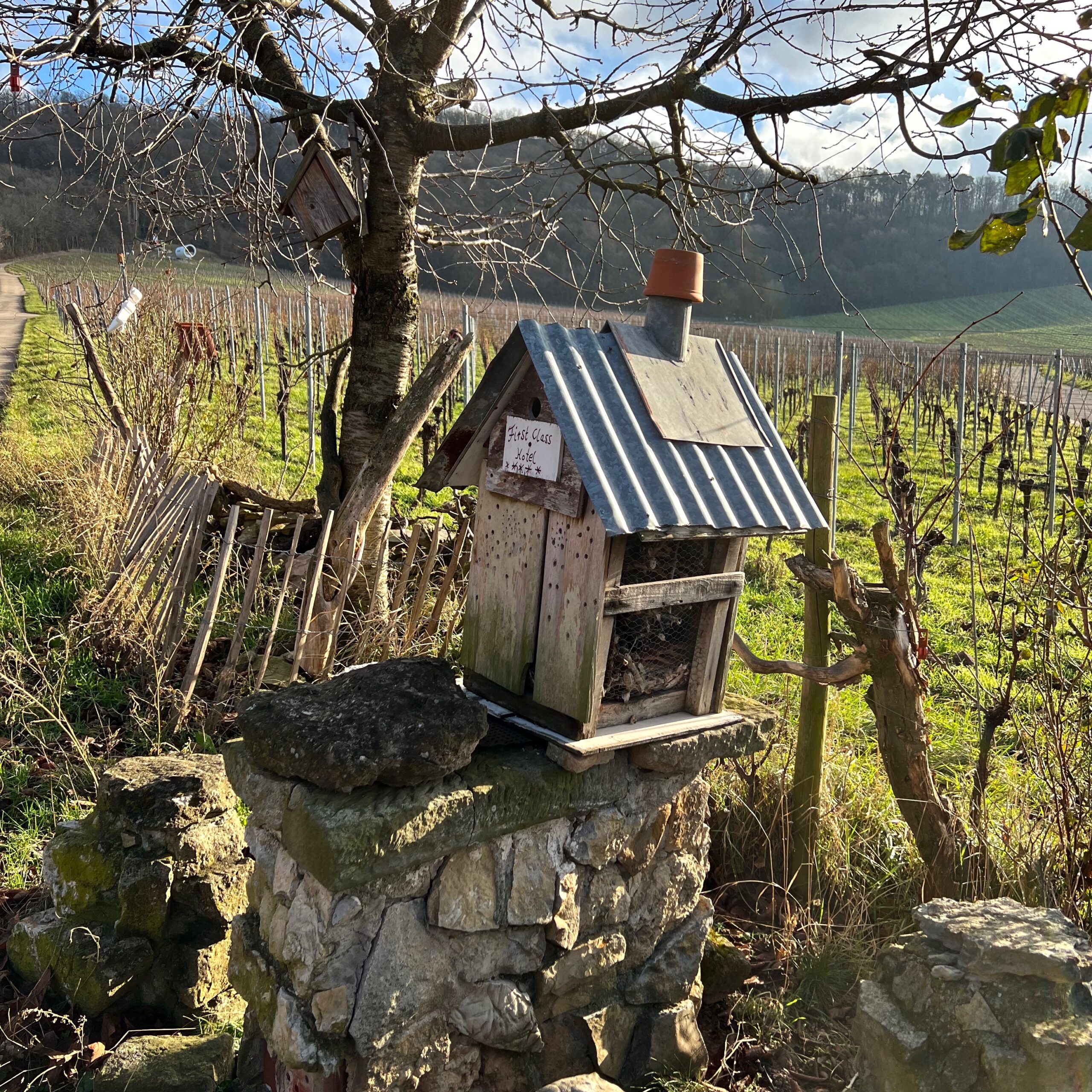 roedelsee_bienenhotel