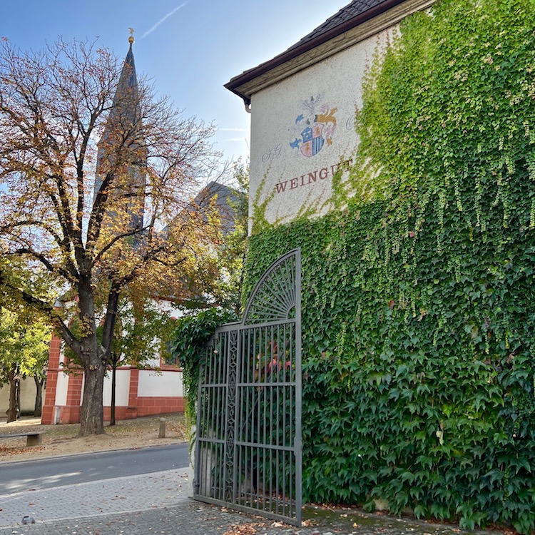 1_westhofen_weingut orb
