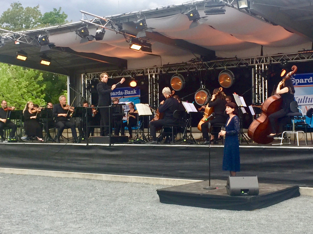 Kulturpicknick